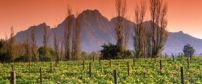 South Africa Holidays - The Cape Winelands